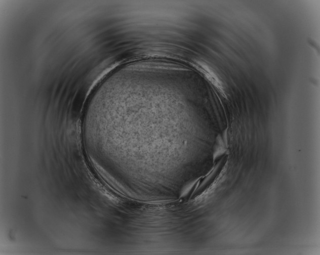 X0000091880798200709191155