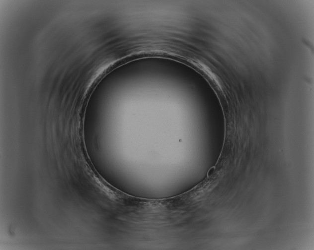 X0000091880799200709191155