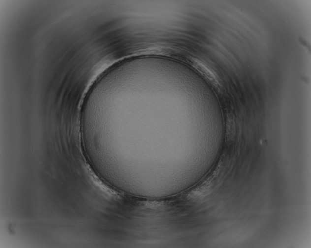 X0000091880800200709191155