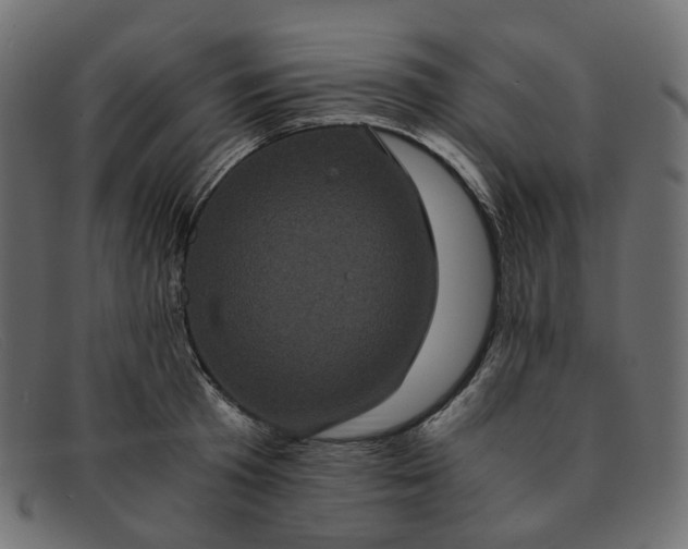 X0000091880801200709191155