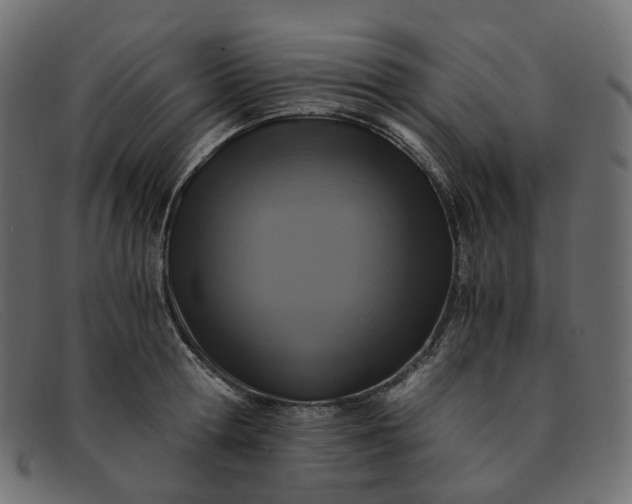 X0000091880802200709191155