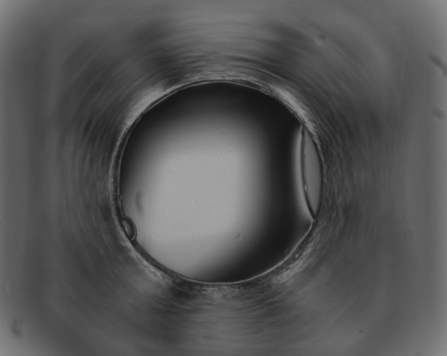 X0000091880803200709191155