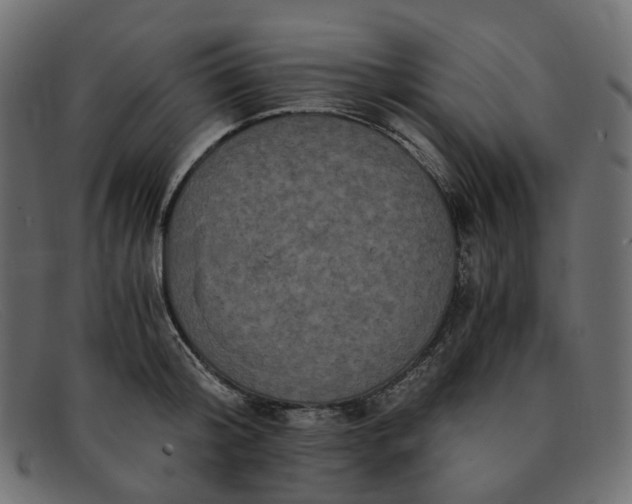 X0000091880804200709191155