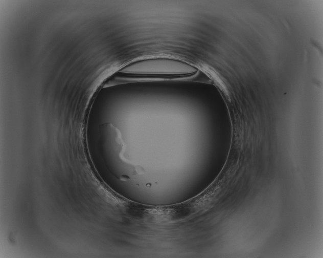 X0000091880805200709191155