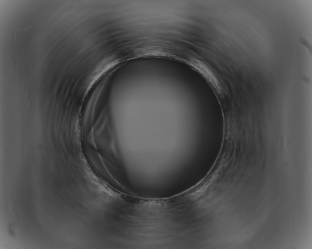 X0000091880806200709191155