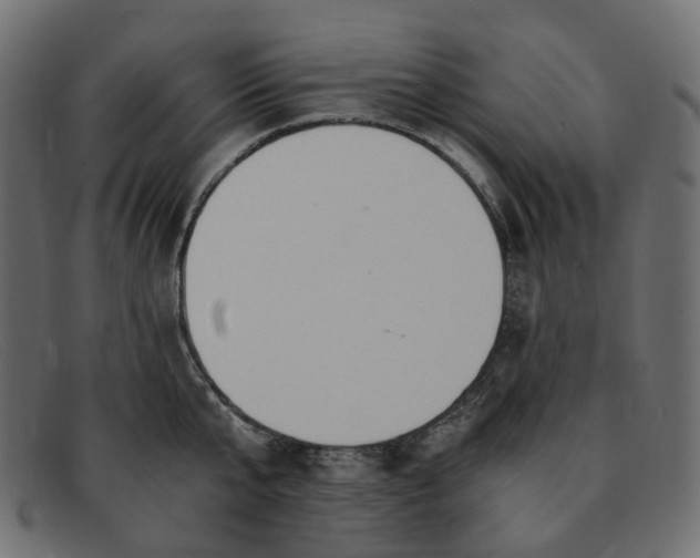 X0000091880807200709191155