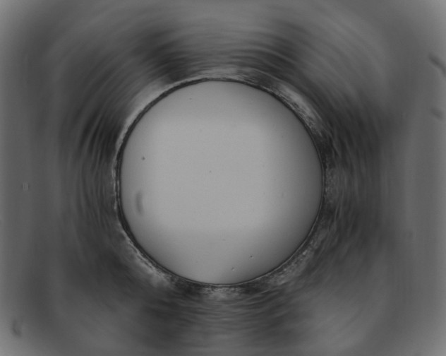 X0000091880808200709191155