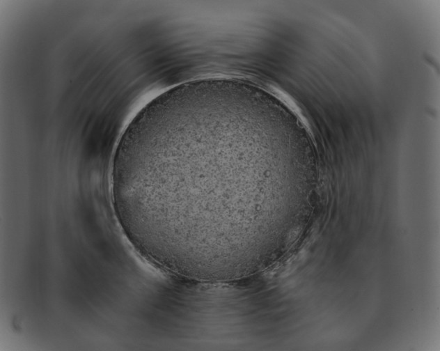 X0000091880811200709191155