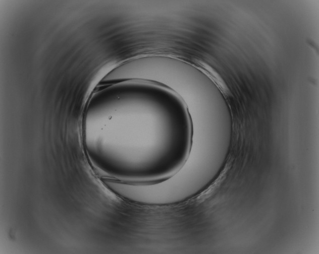 X0000091880812200709191155