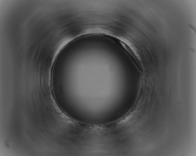 X0000091880815200709191155