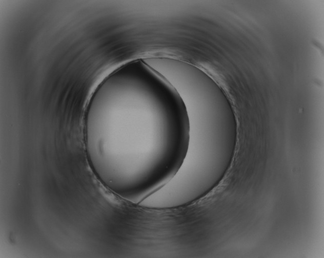 X0000091880816200709191155