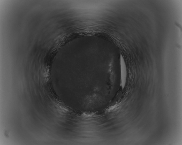 X0000091880818200709191154