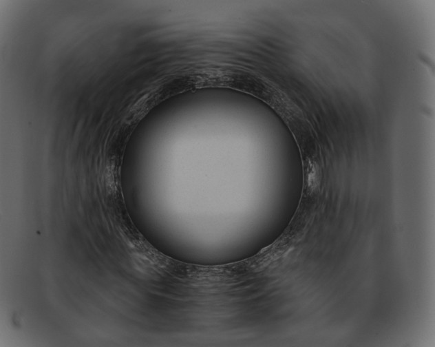 X0000091880819200709191154