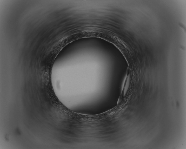 X0000091880821200709191154