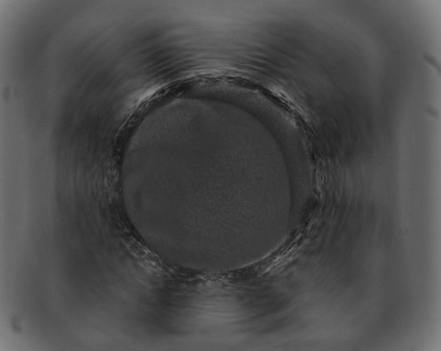 X0000091880822200709191154