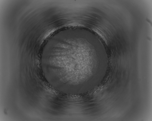 X0000091880823200709191154