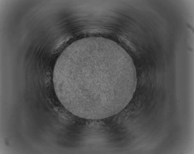 X0000091880824200709191154