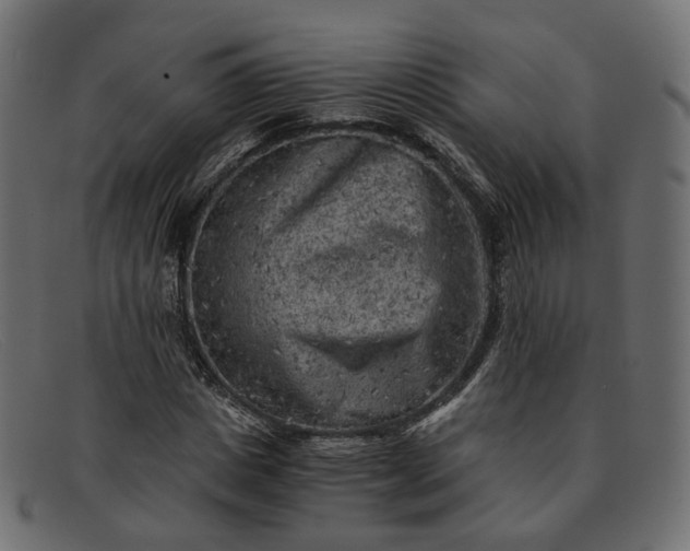 X0000091880825200709191154