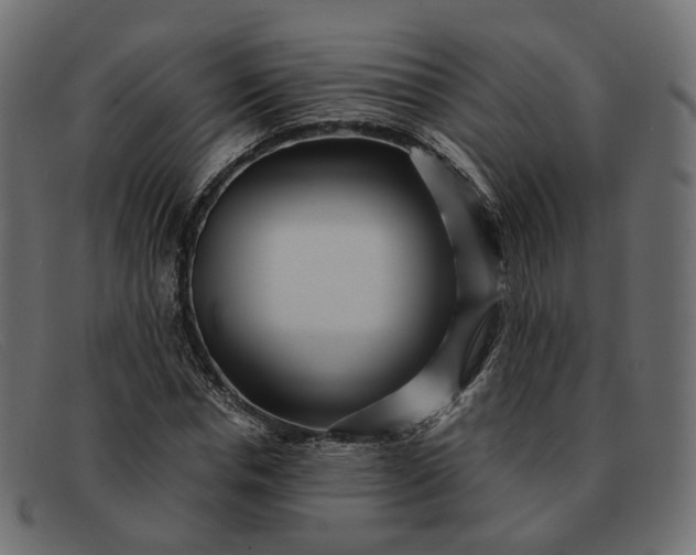 X0000091880826200709191154