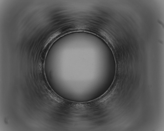 X0000091880827200709191154