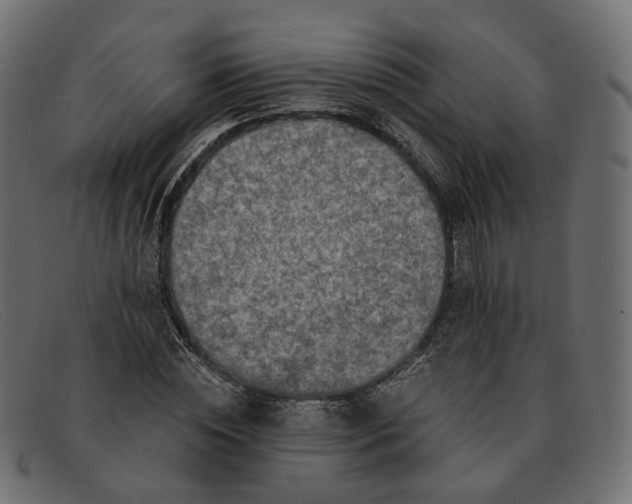 X0000091880828200709191154