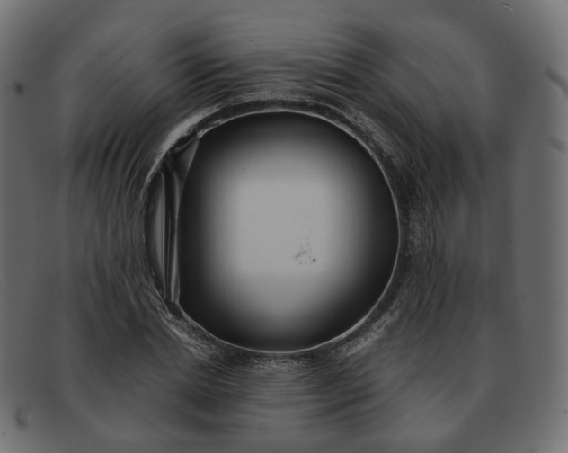 X0000091880830200709191154