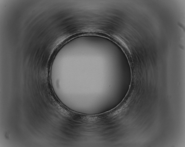 X0000091880831200709191154