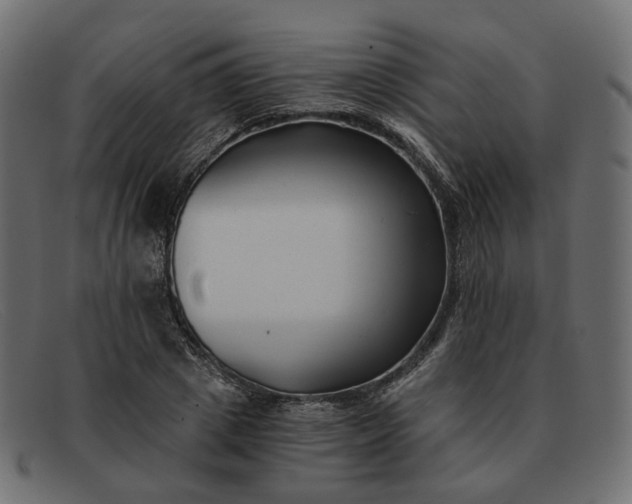 X0000091880833200709191154