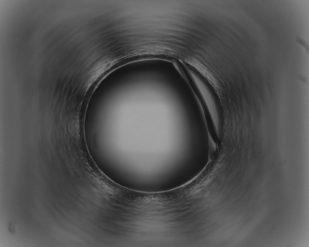 X0000091880834200709191154