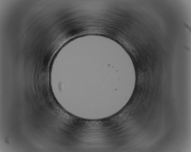 X0000091880836200709191154