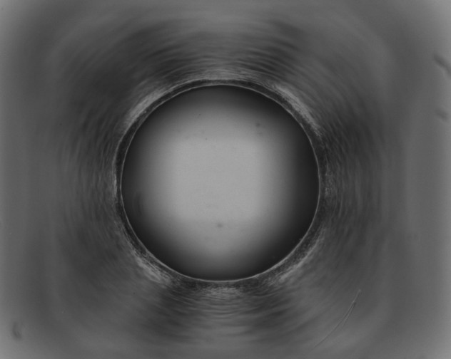 X0000091880837200709191154