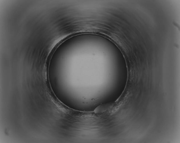 X0000091880838200709191154