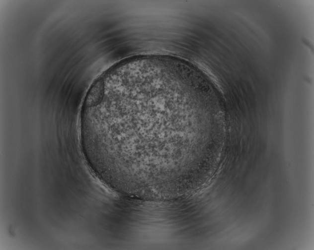 X0000091880840200709191155