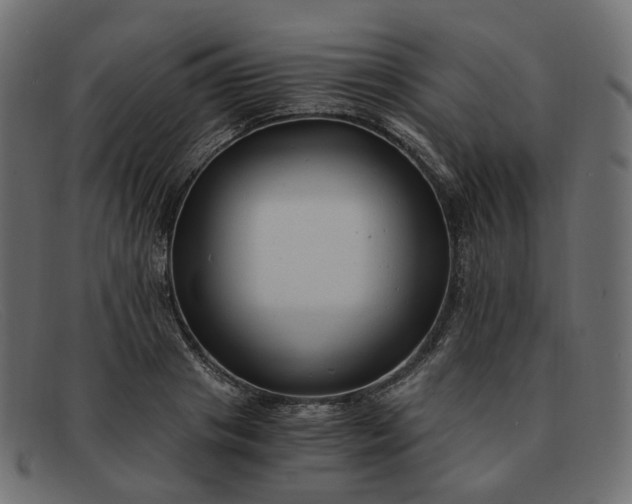 X0000091880841200709191155