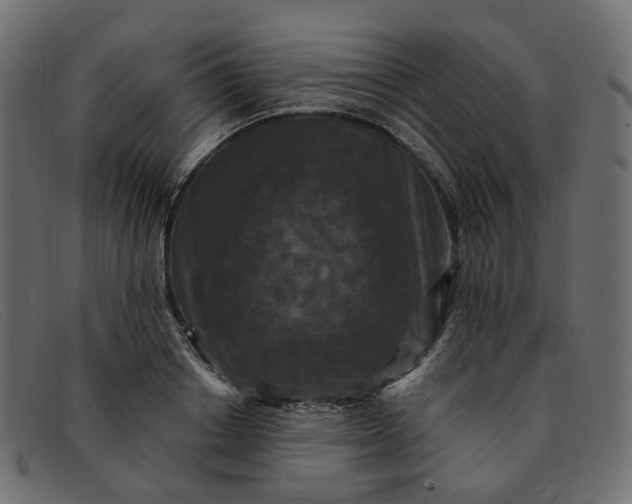 X0000091880842200709191155