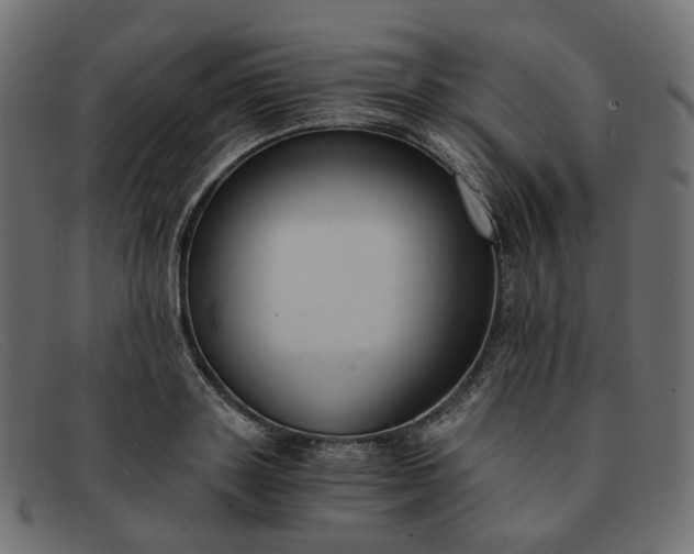 X0000091880843200709191155