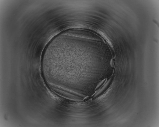 X0000091880845200709191155