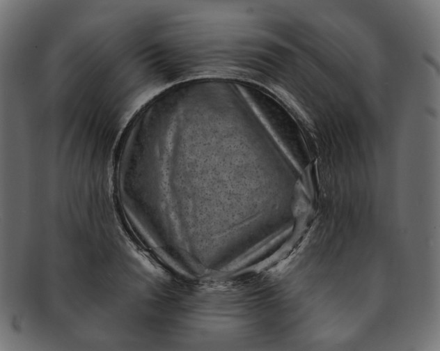 X0000091880846200709191155