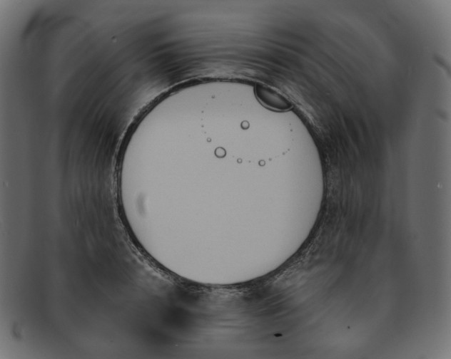 X0000091880848200709191155