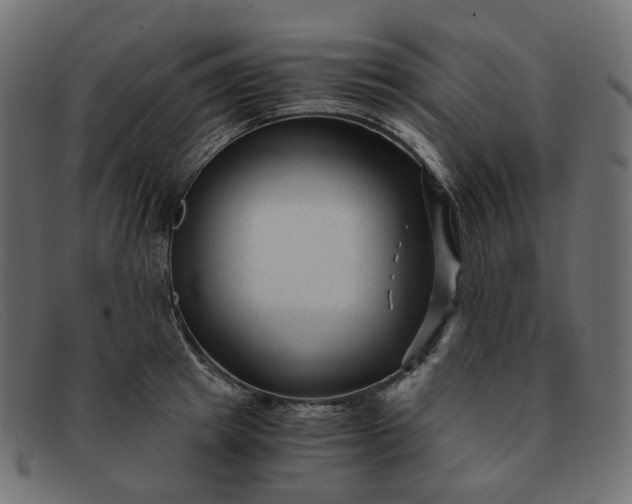 X0000091880849200709191155