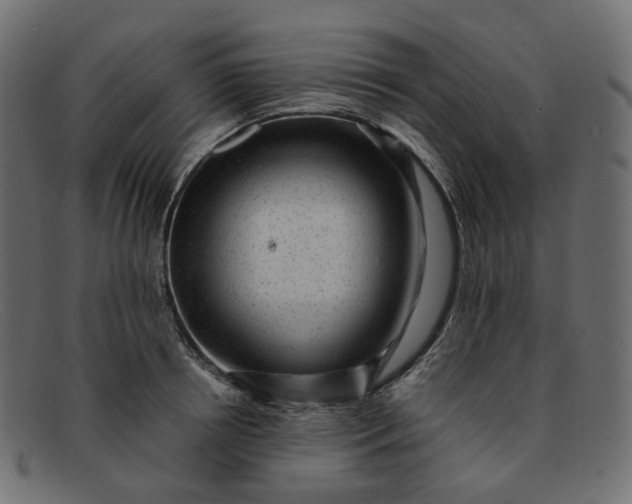 X0000091880850200709191155