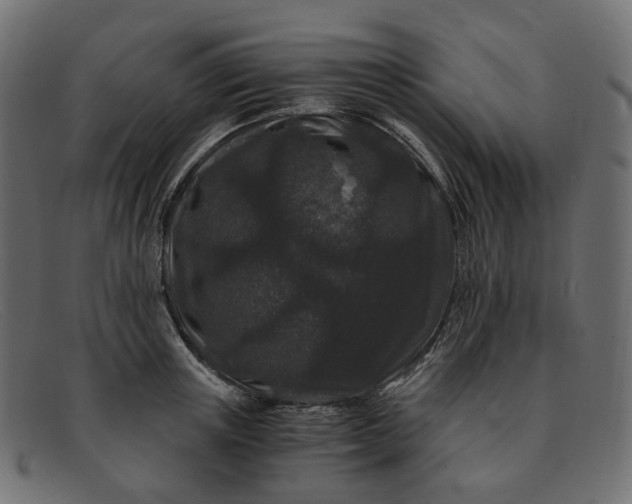 X0000091880851200709191155