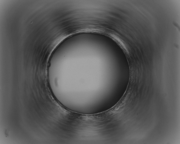 X0000091880852200709191155