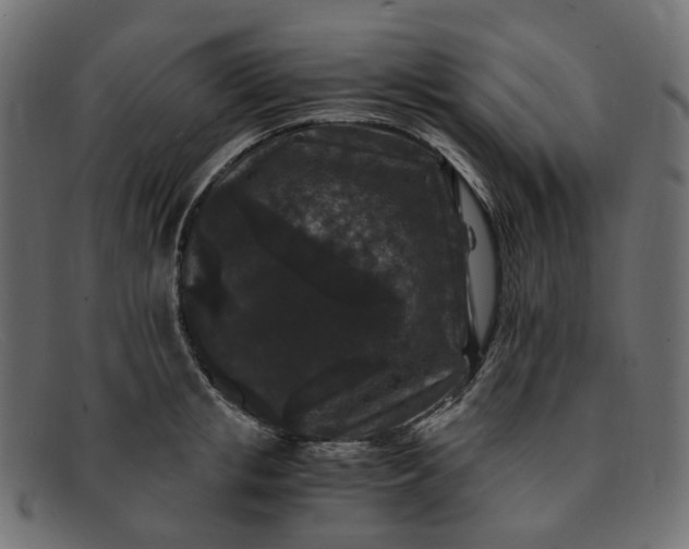 X0000091880853200709191155