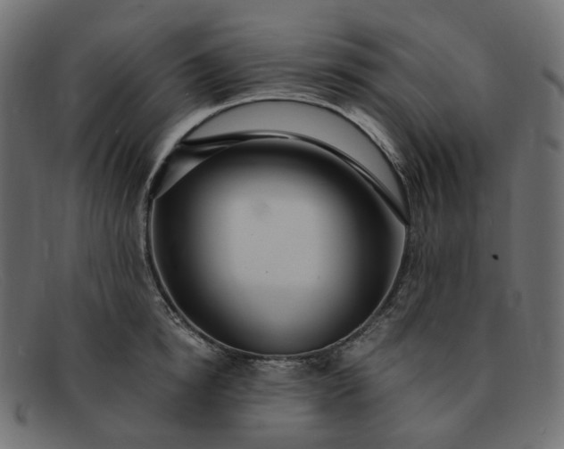 X0000091880854200709191155