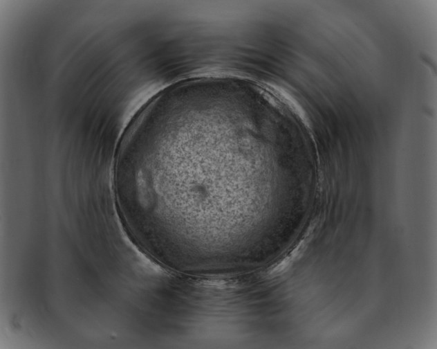 X0000091880855200709191155