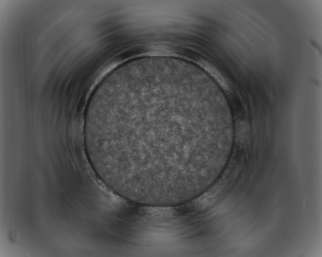 X0000091880856200709191155