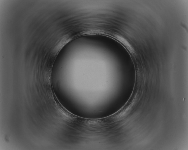 X0000091880857200709191155