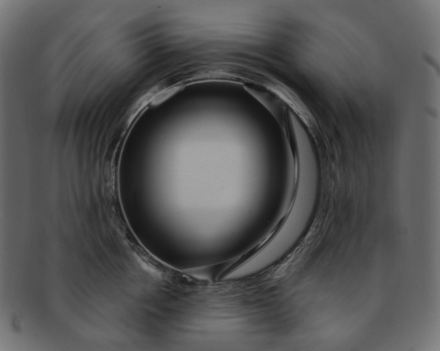 X0000091880858200709191155