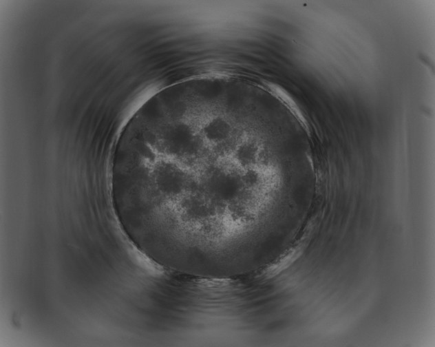 X0000091880859200709191155